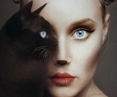 Тест: какое животное соответствует вам по характеру?